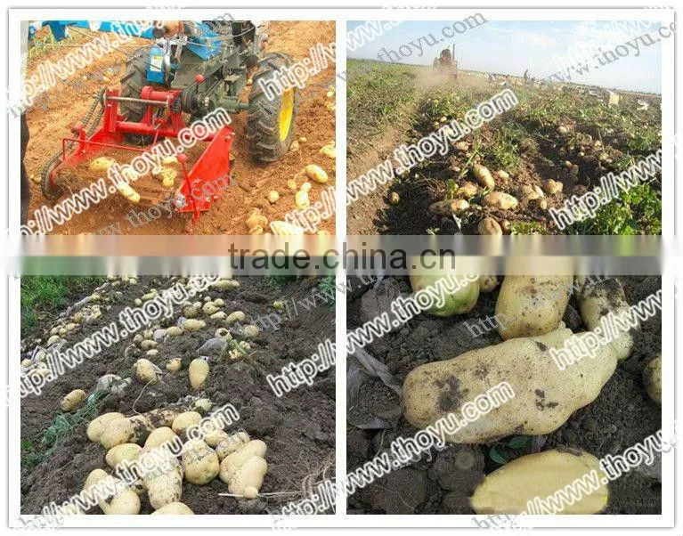 THOYU brand Double row Potatos Harvesting Machine Price(+86 15903677328)