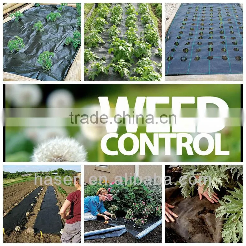 pp spunbonded nonwoven fabric for weed control