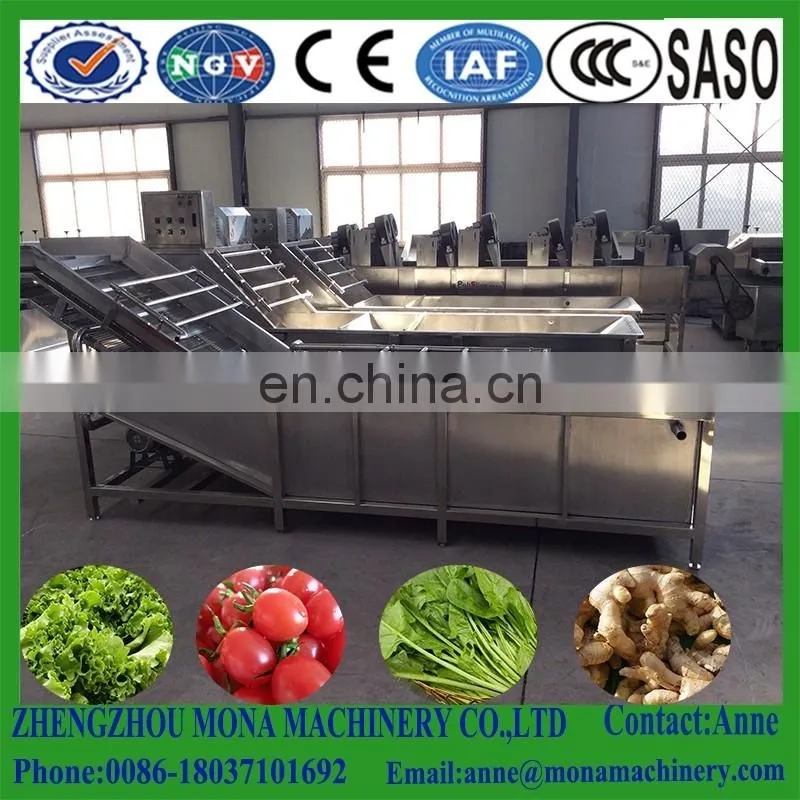 Fruits and Vegetables Washing machine, air and water bubble vegetable washing machine