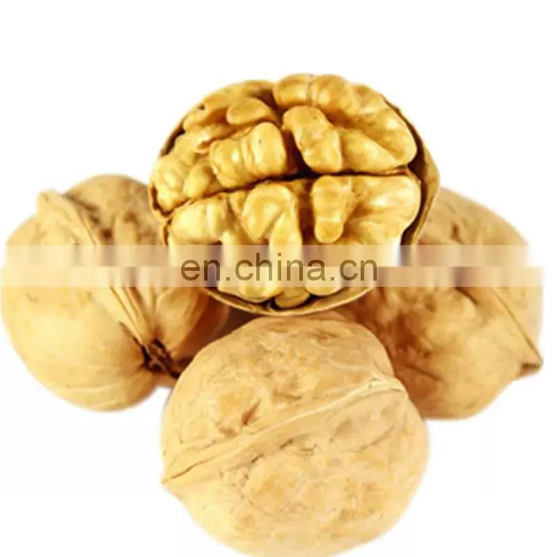 Chocolates roasted walnut in shell and kernel for Peru India Vietnam USA France Philippines Nepal Morocco Bangladesh Canada