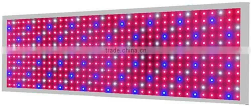 Save energy consumption by 15% LED GROW LIGHT 600w full spectrum