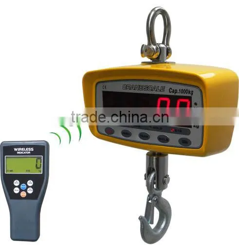 crane scale