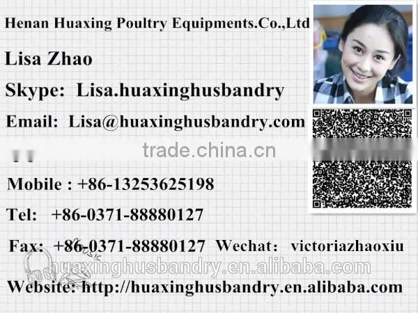 High quality commercial chicken cages/cheap folding cage/rabbit cage