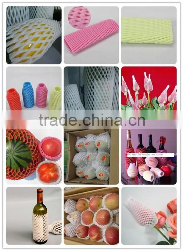 EPE foam sleeve net for dragon fruit