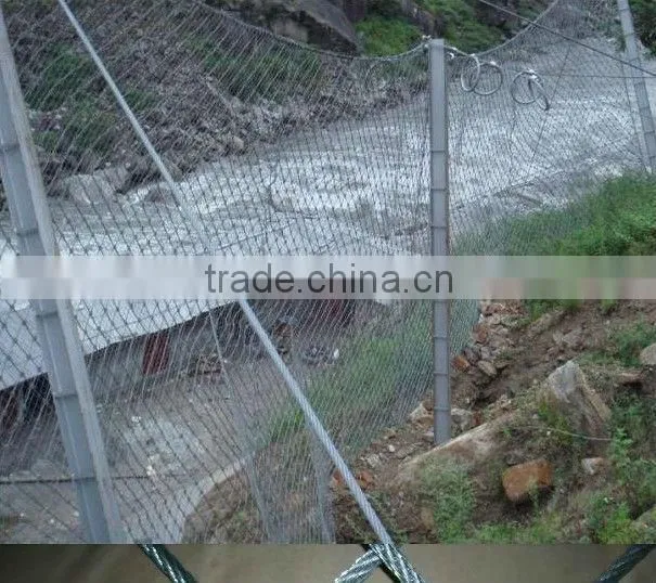 safety netting system protecting mesh