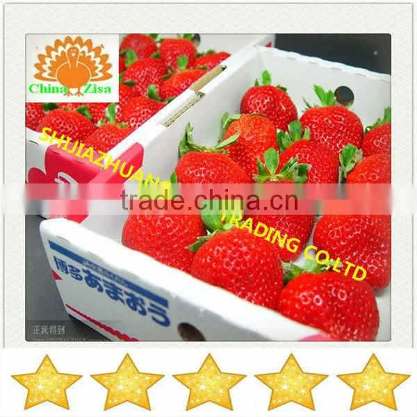 HDPE greenhouse growing tray and grow box