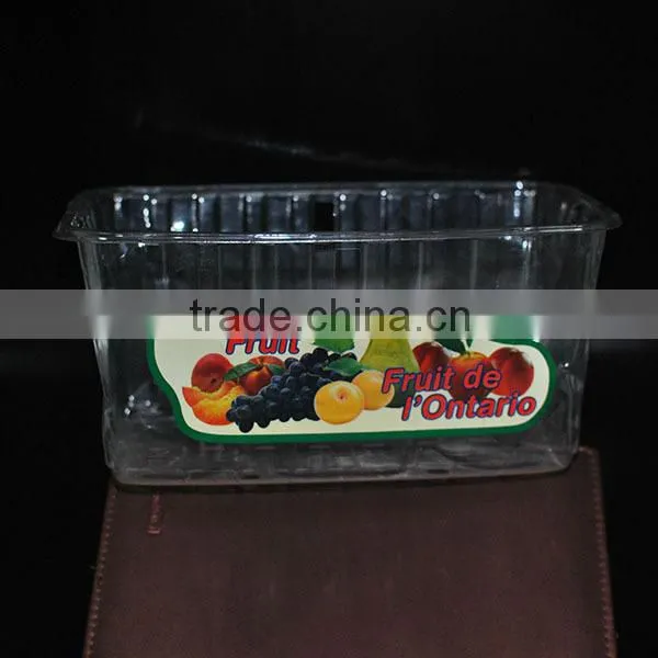 2015 New Design Low Price plastic seedling tray