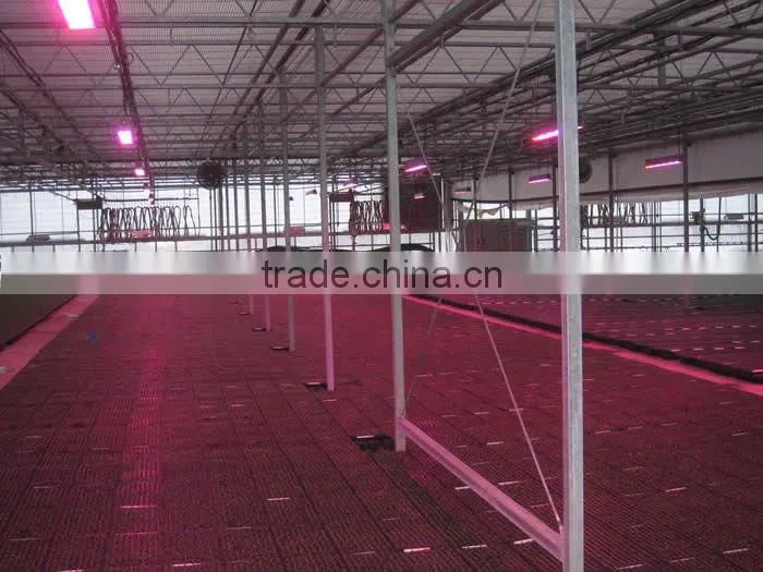 Hot sale LED garden light of 45w
