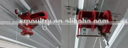 broiler chicken raising equipment