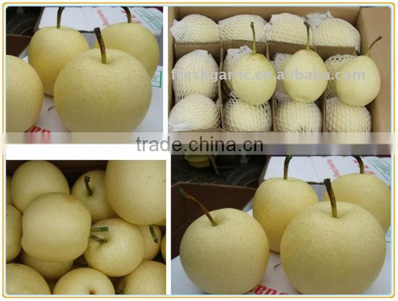 Chinese Fresh Yellow Ya Pear