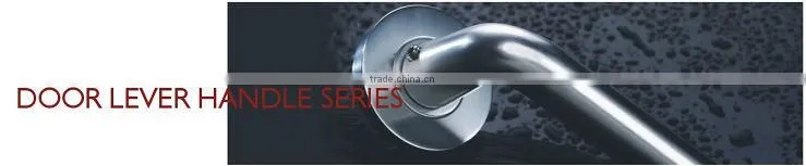 HS036 Stainless steel solid casting lever door handle