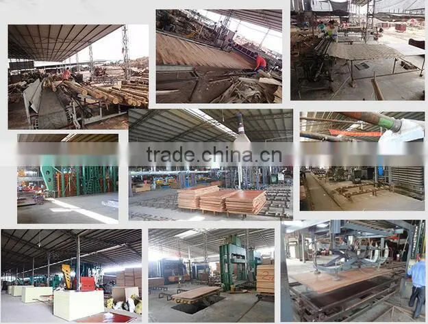 12mm Thick Commercial Plywood Price