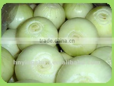staiinless steel automatically cebollas