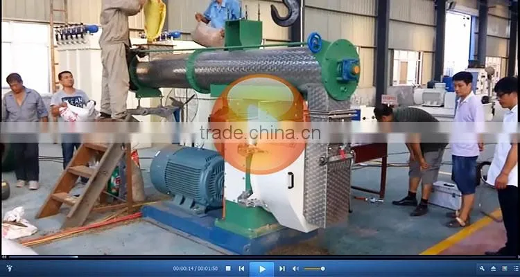 Best selling China Strongwin fully automatic feeds pellet machines south africa