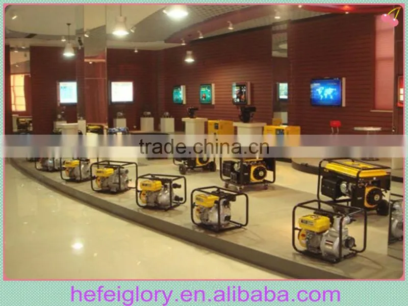 Wholesale high quality Gasoline engine water pump