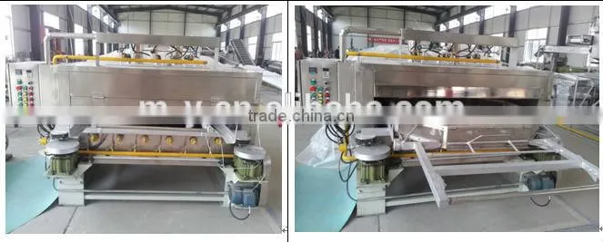 Famous brand Coated nut roaster