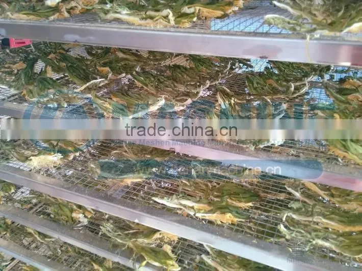 heat pump drying equipment for fruits vegetables and sea food and charcoal barbecue