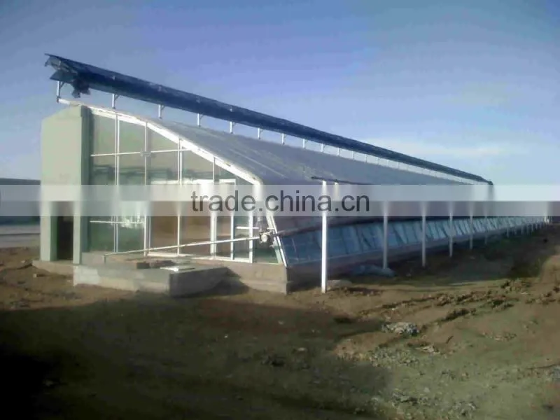 Nursery greenhouse for vegetables