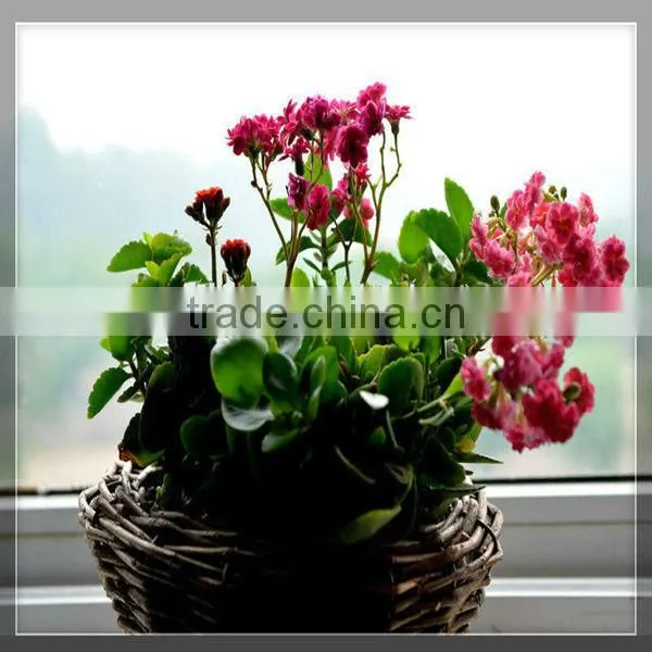 HOT 100%Handmade Natural flower girl basket