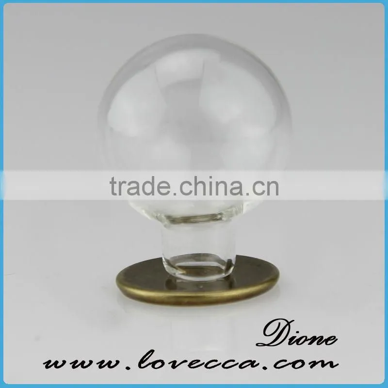 Mouth Blown Modern decoration Glass Globe customized flower clear glass display dome