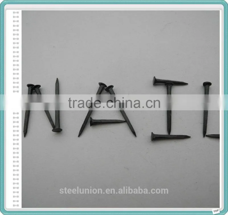 Three Star Brand Black Shoe Tacks Nail