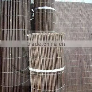 willow fence