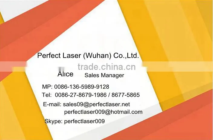 Portable fiber laser marking machine for hologram labels with laser marking