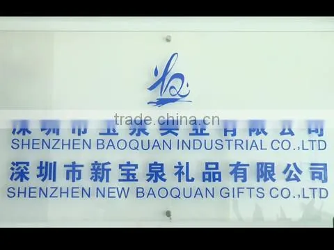 Shenzhen Baoquan Industrial Co., Ltd. company overview - view 1