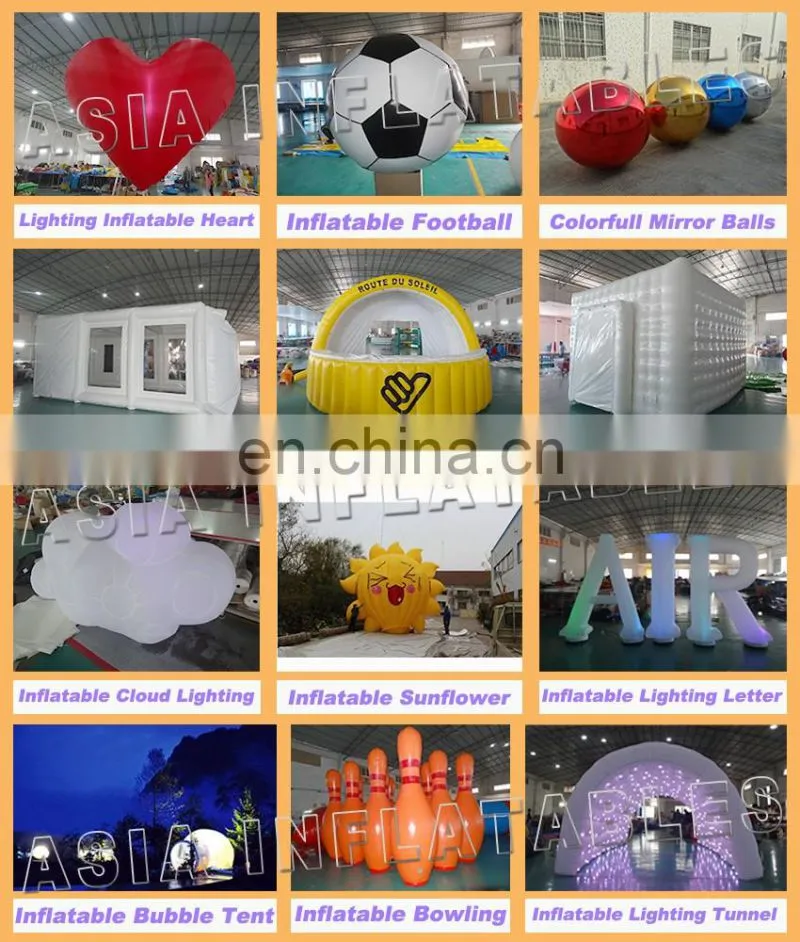 Advertising inflatable marine animal large inflatable cartoon for sale