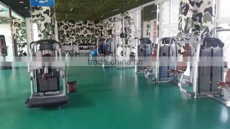 Luxury Fitness Equipment /arm exercise machine / TZ-6013 Biceps Machine