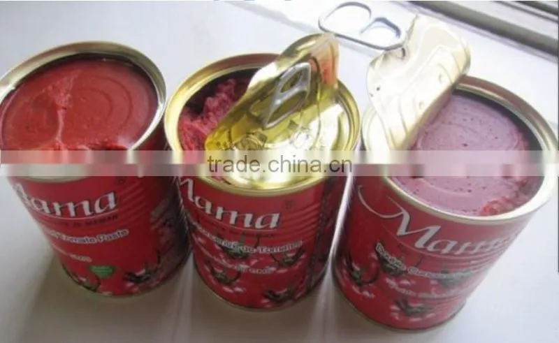 Excellent tomato paste production line