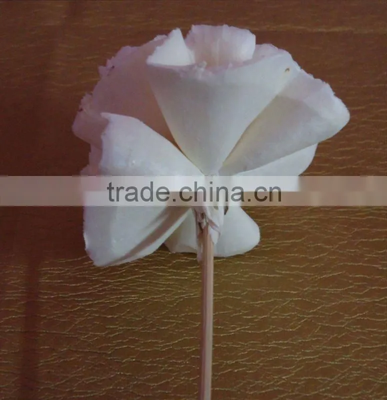 sola reed stick flower diffuser
