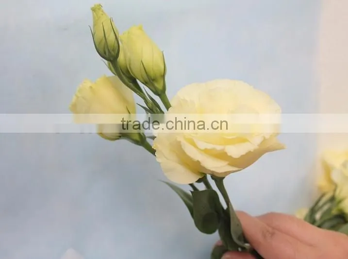 Factory direct sale high quality eustoma flowers for home decoration