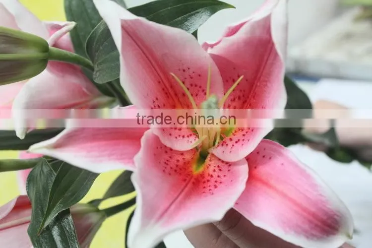 Most popular best selling lilies real touch