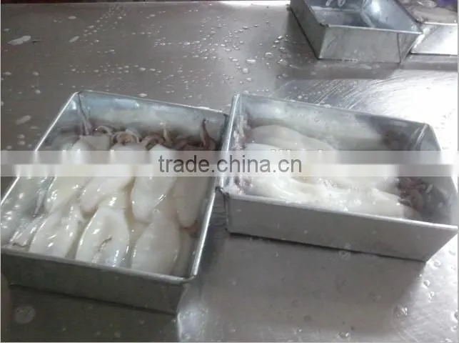 Illex Argentinus frozen squid tube and tentacle(tt)