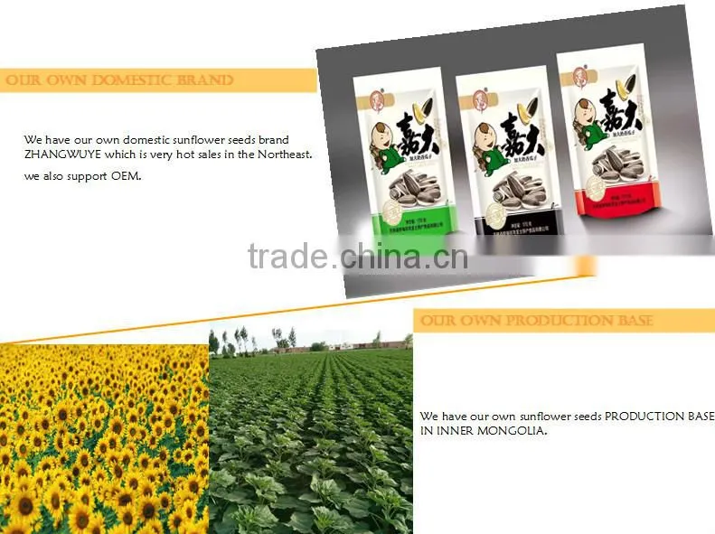 Chinese sunflower seeds 2015 New Crop