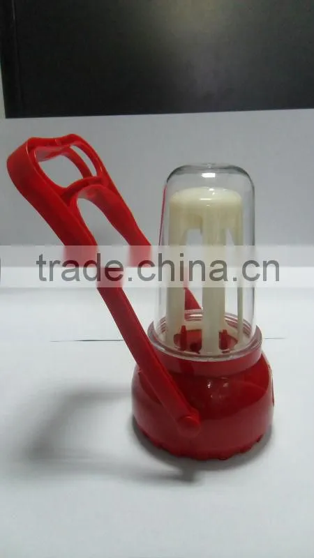 LED Lantern Plastic Case Mold Making Manufacturer