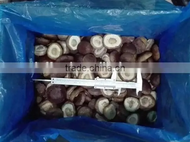 IQF frozen shiitake mushrooms