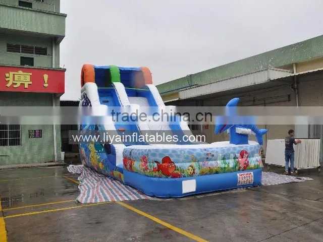 Promotional Giant Inflatable Water Slide,10m Length Water slide with pool