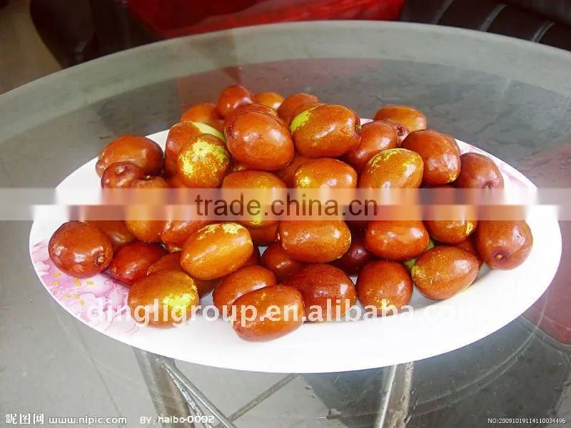 Gloden-silk jujube