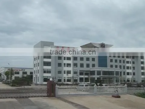 Shandong BSY Group Co., Ltd. company overview - view 1