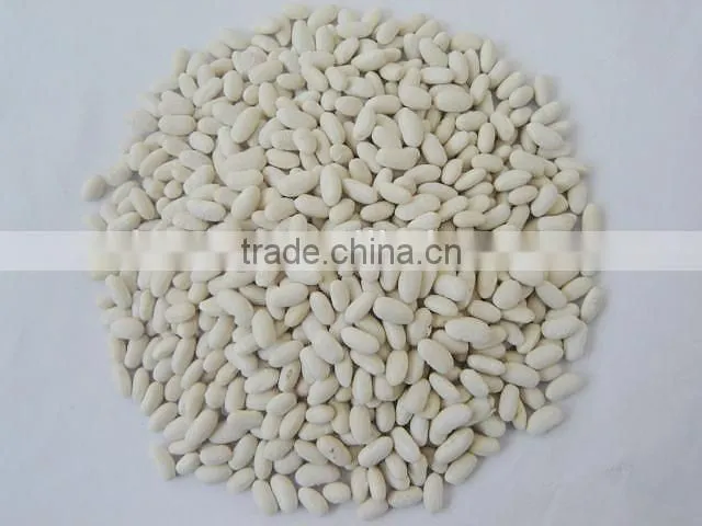 Price of white kidney bean 2014 crop white bean