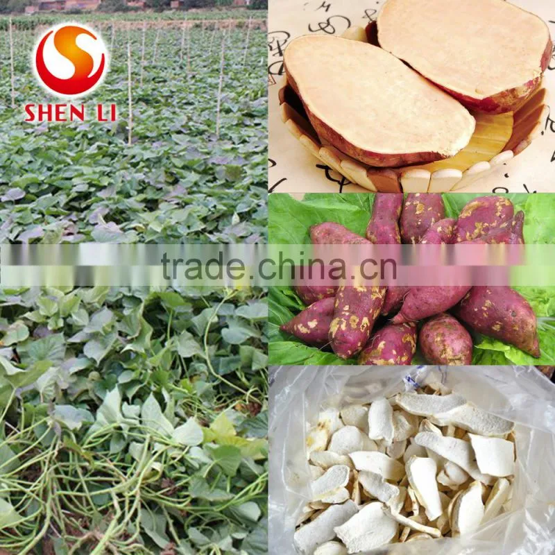 Ready to Eat Potatos Snacks Natural Sweet and Healthy Snacks