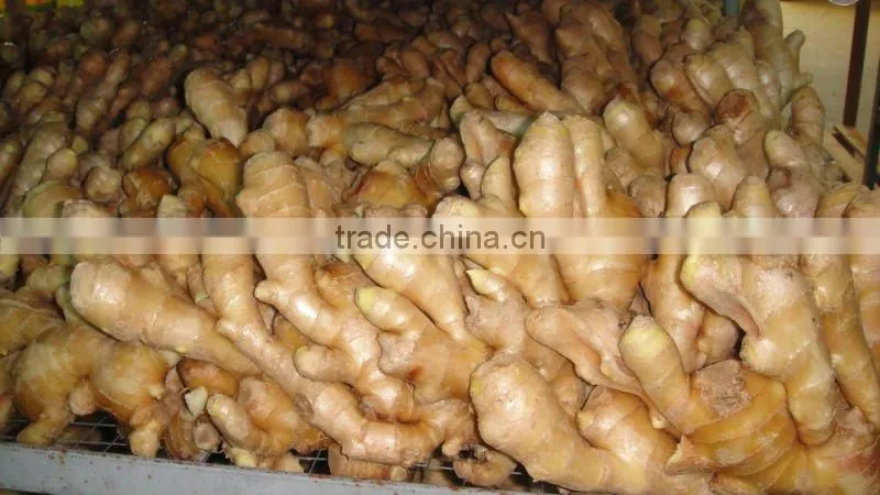 Fresh air dried Ginger