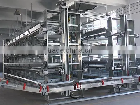 Henan Jinfeng Poultry Equipment Co., Ltd. company overview - view 1
