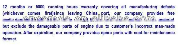 Ce And Iso Approved Biogas Generator / Natural Gas Generator / Biomass Power Plant