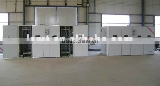Model MT-3168 Poultry Egg Incubation Machine Poultry incubator egg incubator