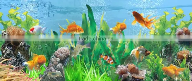 fish tank controller specially (AQD)