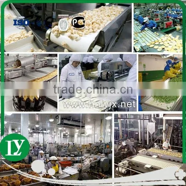 Grain Bucket chain conveyor/ rice mill bucket elevator