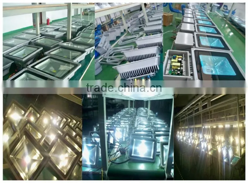 indoor outdoor lighting led flood light with meanwell driver